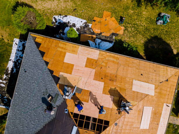 Best Storm Damage Roof Repair  in Driggs, ID