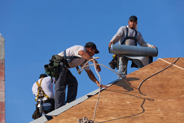 Best Gutter Installation and Roofing  in Driggs, ID