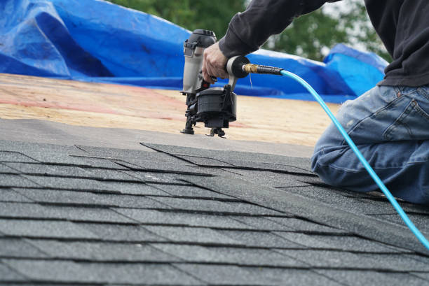 Best Roof Maintenance Services  in Driggs, ID